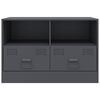 vidaXL Tv-meubel 67x39x44 cm staal antracietkleurig