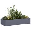 Miniatuurafbeelding van het product 2 van 9