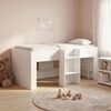 Miniatuurafbeelding van het product 3 van 9