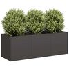 vidaXL Plantenbak Zwart 120x40x40 cm Koudgewalst Staal