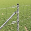 Miniatuurafbeelding van het product 5 van 17