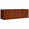 vidaXL Plantenbak verhoogd 120x40x40 cm cortenstaal