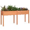 Miniatuurafbeelding van het product 3 van 8