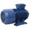 vidaXL Elektromotor 3 fase 1,5 kW/2 pk 2-polig 2840 rpm aluminium