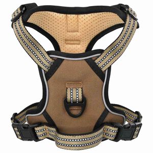 vidaXL Hondentuigje met riem en halsband verstelbaar L bruin