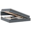 vidaXL LED Opslagbed met Matras Donkergrijs 200 x 200 cm Fluweel