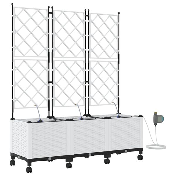 Productafbeelding 1 van 8