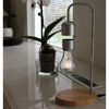 United Entertainment Lamp met eikenhouten basis zwevend magnetisch