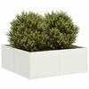Miniatuurafbeelding van het product 2 van 9