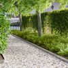Miniatuurafbeelding van het product 2 van 9