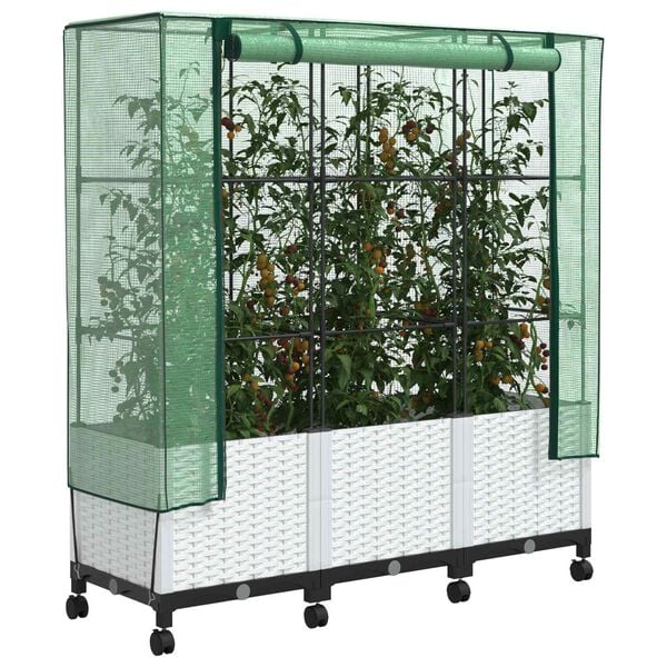Productafbeelding 3 van 8