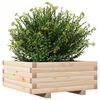 vidaXL Plantenbak 60x60x26,5 cm massief grenenhout