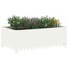 Miniatuurafbeelding van het product 3 van 9