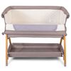 Baninni Co-sleeper Elia 2-in-1 92x55x82 cm taupe