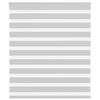 vidaXL Zebra rolgordijn 120x100 cm stofbreedte 115,9 cm lichtgrijs
