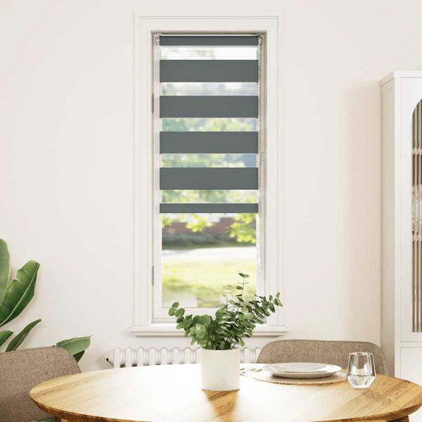 vidaXL Zebra rolgordijn 40x100 cm stofbreedte 35,9 cm donkergrijs