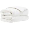 vidaXL Dekbed FULDA 155 x 220 cm Winter 300 GSM 90% Gansendons Wit