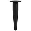 vidaXL Meubelpoten 2 pcs Zwart &Oslash; 40 x 98 mm IJzer