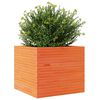 vidaXL Plantenbak 80x80x68,5 cm massief grenenhout wasbruin