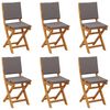 vidaXL Bistrostoelen voor buiten 6 pcs Donkergrijs 38 x 46 x 85 cm