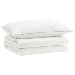 vidaXL 90% ganzen dons dekbedset FULDA 2 st 137 x 200 cm Zomer 100 GSM