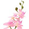 Miniatuurafbeelding van het product 4 van 5