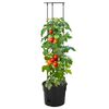 Miniatuurafbeelding van het product 2 van 6