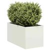 Miniatuurafbeelding van het product 2 van 9