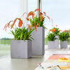 LECHUZA Plantenbak CANTA Stone 30 Low ALL-IN-ONE steengrijs