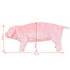 Miniatuurafbeelding van het product 5 van 5