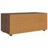 vidaXL TV-kast met lade Bruin Eiken 100 x 48 x 43 cm Bewerkt hout