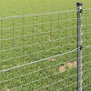 Miniatuurafbeelding van het product 4 van 9