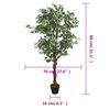 Miniatuurafbeelding van het product 5 van 5