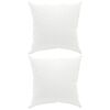 vidaXL Hoofdkussen FULDA 2 pcs 40 x 40 cm 100% Ganzendons en Veer Wit