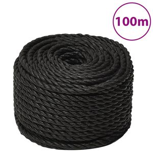 vidaXL Werktouw 12 mm 100 m polypropeen zwart