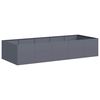 vidaXL Plantenbak 200x80x40 cm staal antracietkleurig