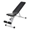 vidaXL Fitness bankje