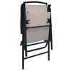 vidaXL Tuinstoelen inklapbaar 2 st textileen taupe