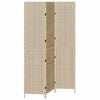 vidaXL Kamerverdeler Beige 146 x 200 cm poly rattan