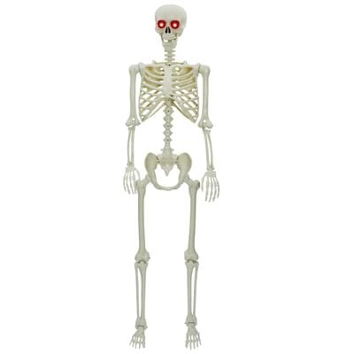 Halloween-skelet wit 155 x 38,5 cm