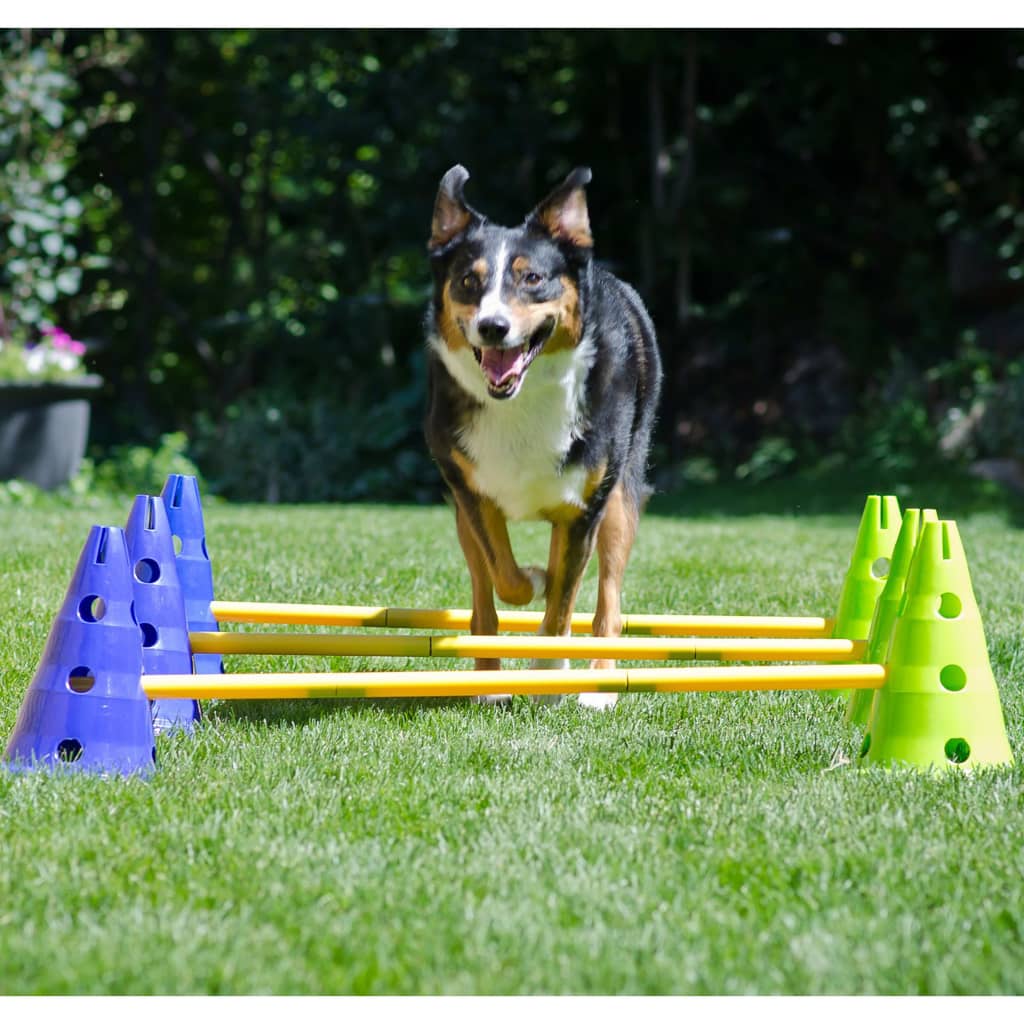 FitPAWS Honden behendigheidsset Canine Gym
