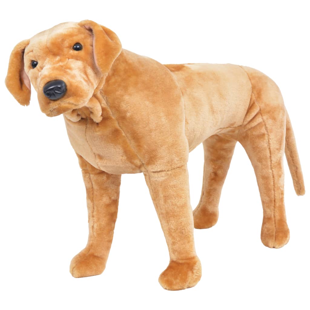 Golden Retriever: Alles over dit hondenras