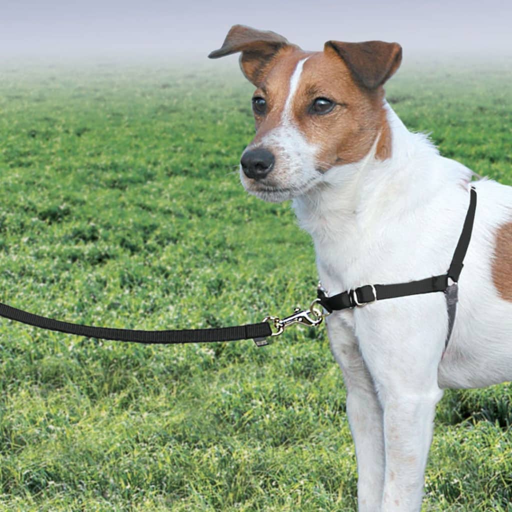 PetSafe Hondentuig Easy Walk S zwart