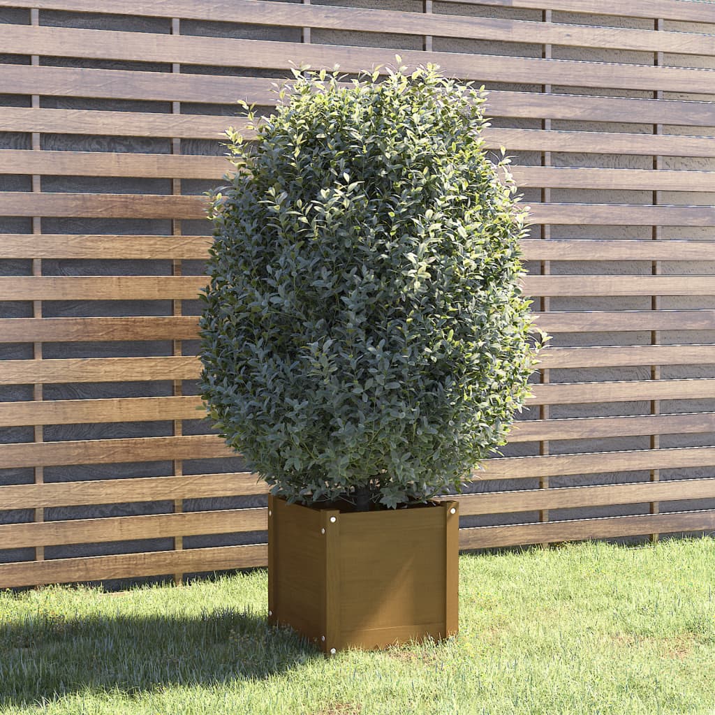 vidaXL Plantenbak 40x40x40 cm massief grenenhout honingbruin