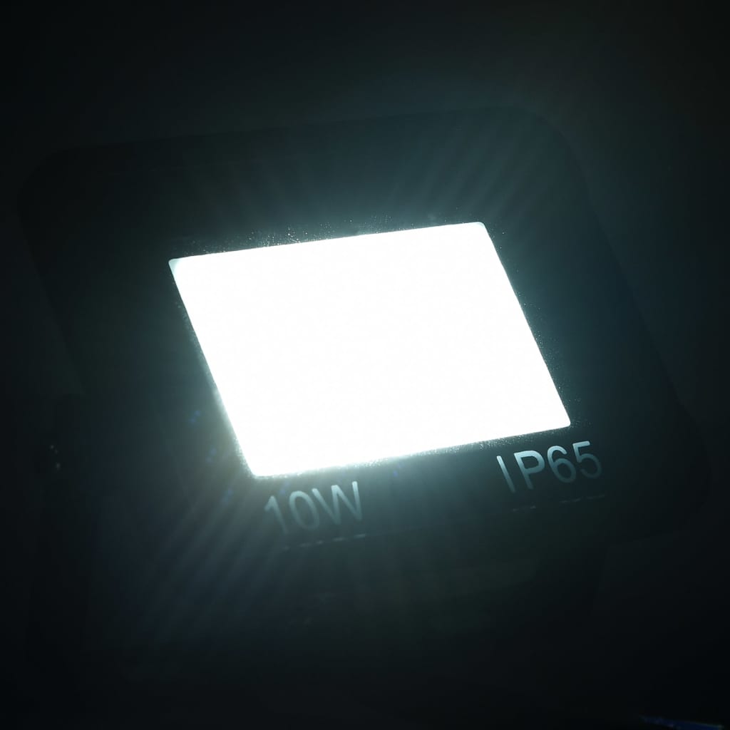 vidaXL Spotlights 2 st LED 10 W koudwit
