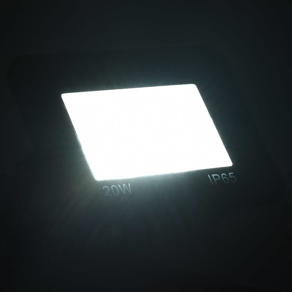 vidaXL Spotlights 2 st LED 20 W koudwit