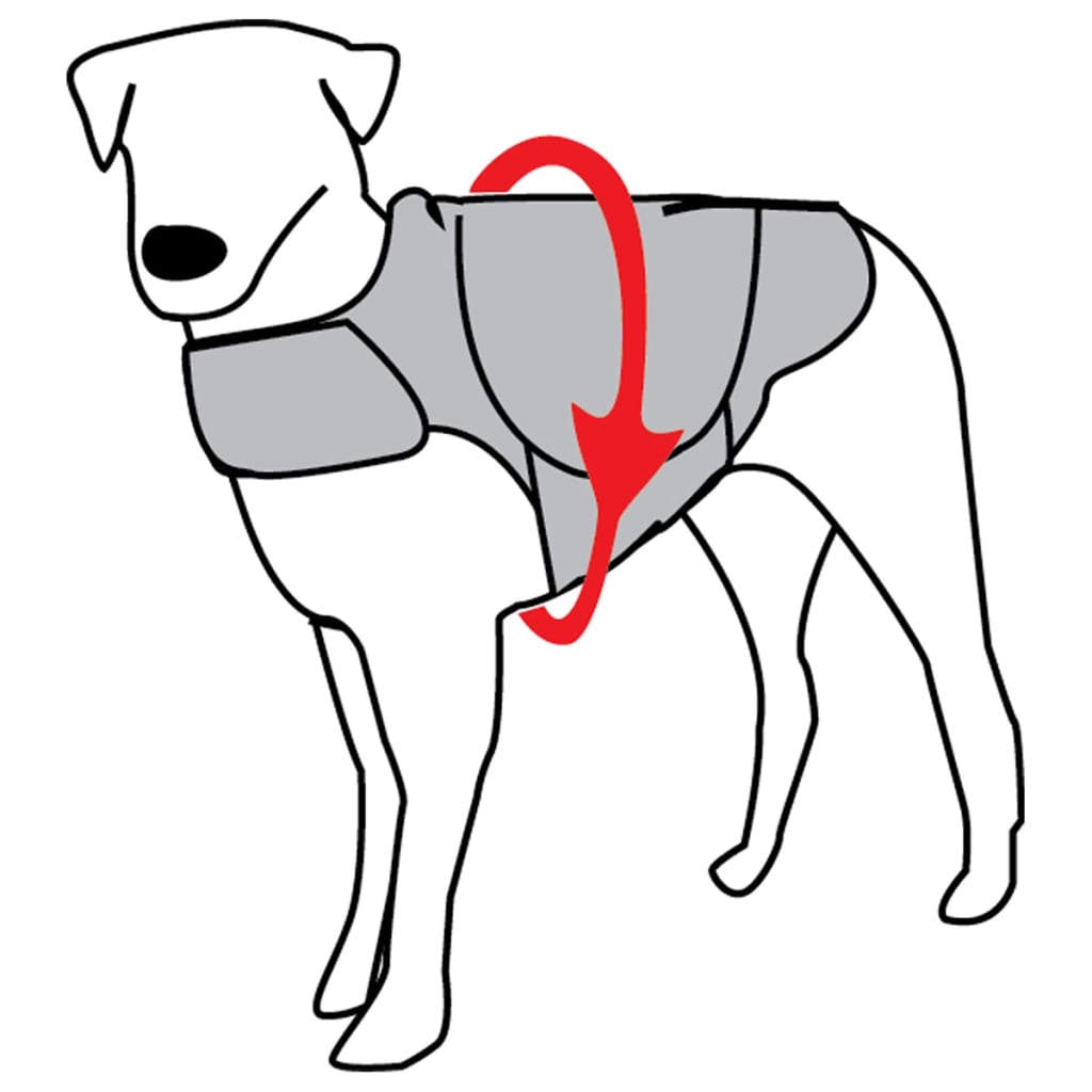 Latijns Inconsistent onaangenaam ThunderShirt Anti-angstshirt voor honden grijs S 2015 online kopen |  vidaXL.be