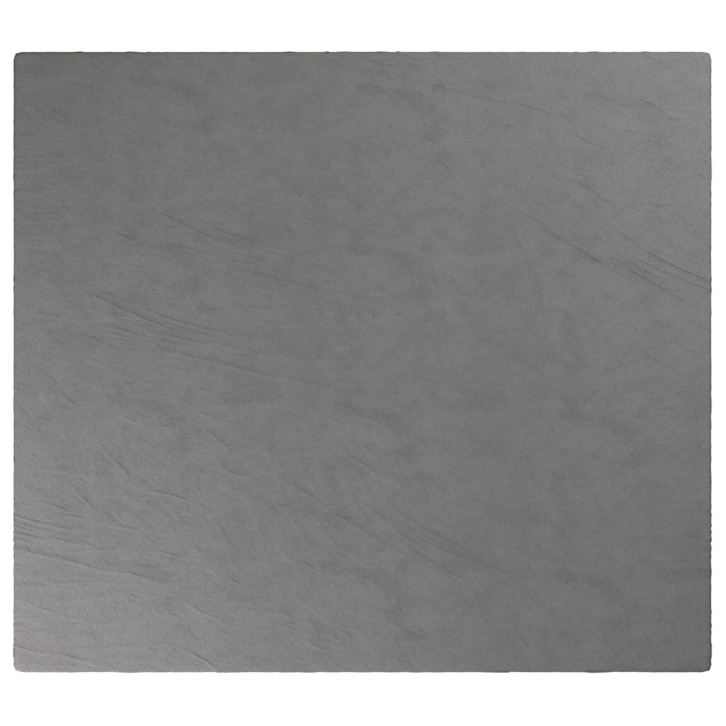 vidaXL Verzwaringsdeken met hoes 200x220 cm 13 kg stof grijs