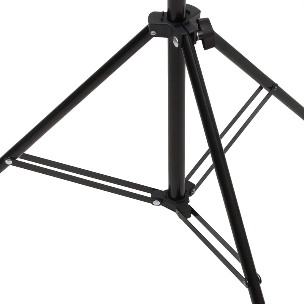 vidaXL Achtergrondstandaard T-vormig 201x60x(70-200) cm zwart